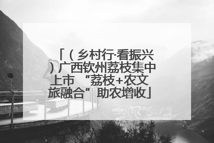 （乡村行·看振兴）广西钦州荔枝集中上市 “荔枝+农文旅融合”助农增收