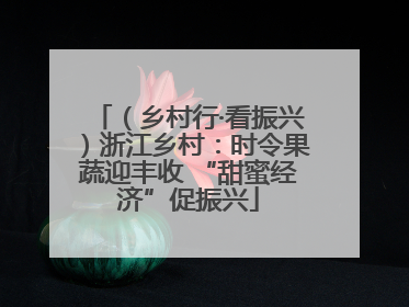 （乡村行·看振兴）浙江乡村：时令果蔬迎丰收 “甜蜜经济”促振兴