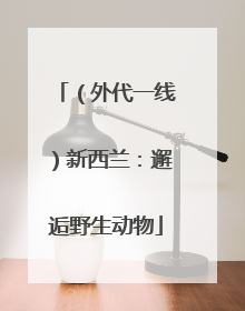 （外代一线）新西兰：邂逅野生动物