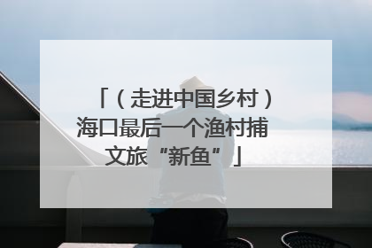 （走进中国乡村）海口最后一个渔村捕文旅“新鱼”