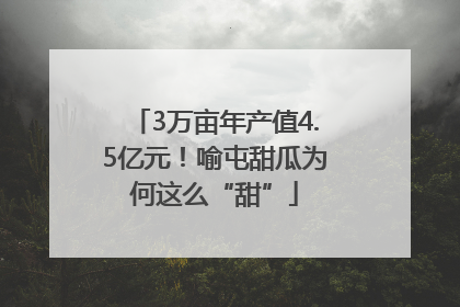 3万亩年产值4.5亿元！喻屯甜瓜为何这么“甜”