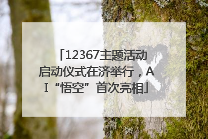12367主题活动启动仪式在济举行，AI“悟空”首次亮相