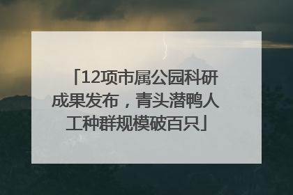 12项市属公园科研成果发布，青头潜鸭人工种群规模破百只
