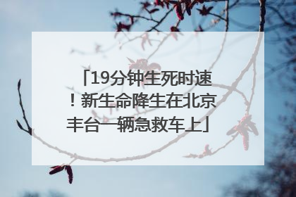 19分钟生死时速！新生命降生在北京丰台一辆急救车上
