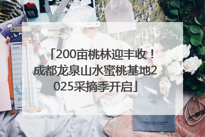 200亩桃林迎丰收！成都龙泉山水蜜桃基地2025采摘季开启