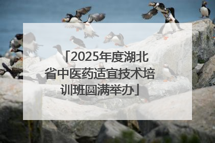 2025年度湖北省中医药适宜技术培训班圆满举办