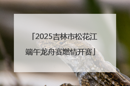 2025吉林市松花江端午龙舟赛燃情开赛