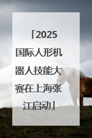 2025国际人形机器人技能大赛在上海张江启动