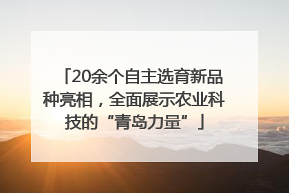 20余个自主选育新品种亮相，全面展示农业科技的“青岛力量”