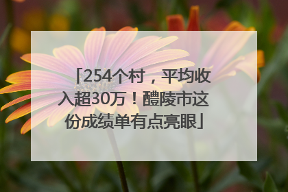 254个村，平均收入超30万！醴陵市这份成绩单有点亮眼