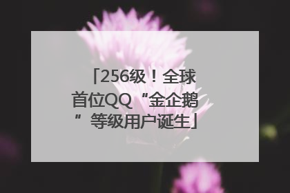 256级！全球首位QQ“金企鹅”等级用户诞生