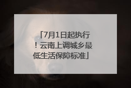 7月1日起执行！云南上调城乡最低生活保障标准