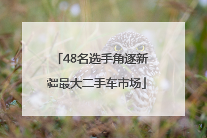 48名选手角逐新疆最大二手车市场