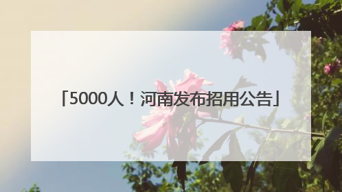 5000人！河南发布招用公告