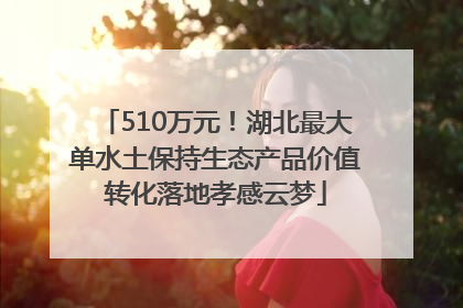 510万元！湖北最大单水土保持生态产品价值转化落地孝感云梦