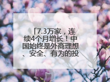 7.3万家，连续4个月增长！中国始终是外商理想、安全、有为的投资目的地