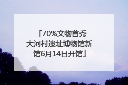 70%文物首秀 大河村遗址博物馆新馆6月14日开馆