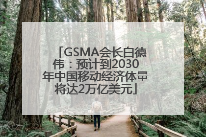 GSMA会长白德伟：预计到2030年中国移动经济体量将达2万亿美元